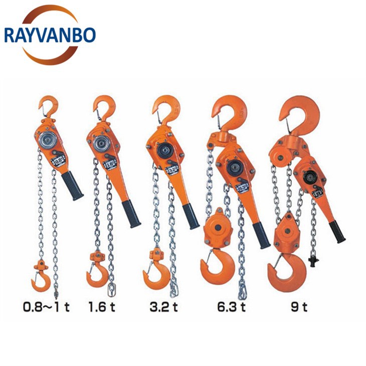 RAYVANBO lever hoist (1)